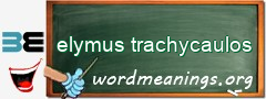 WordMeaning blackboard for elymus trachycaulos